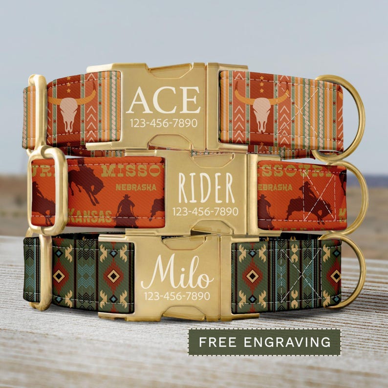 Cowboy Dog Collar, Personalized Western Dog Collar with Name, Custom Rodeo Dog Collar & Leash, Country Boy Dog Collar with Buckle SEC-058 image 14