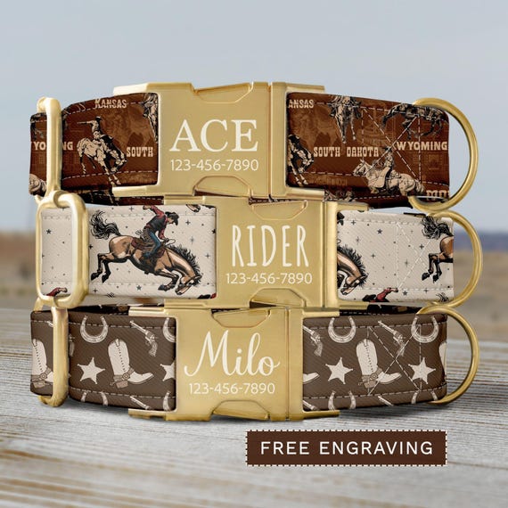Cowboy Dog Collar, Personalized Western Dog Collar with Name, Custom Rodeo Dog Collar & Leash, Country Boy Dog Collar with Buckle SEC-058