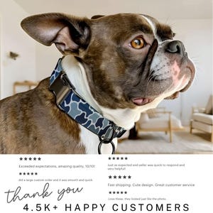 May include: A dog wearing a blue and gray camouflage pattern collar with a black metal buckle. The dog has brown and white fur and is looking to the right. The image includes customer reviews and the text "thank you" and "4.5K+ HAPPY CUSTOMERS."