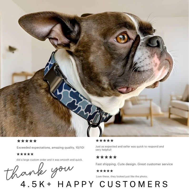 May include: A dog wearing a blue and gray camouflage pattern collar with a black metal buckle. The dog has brown and white fur and is looking to the right. The image includes customer reviews and the text "thank you" and "4.5K+ HAPPY CUSTOMERS."