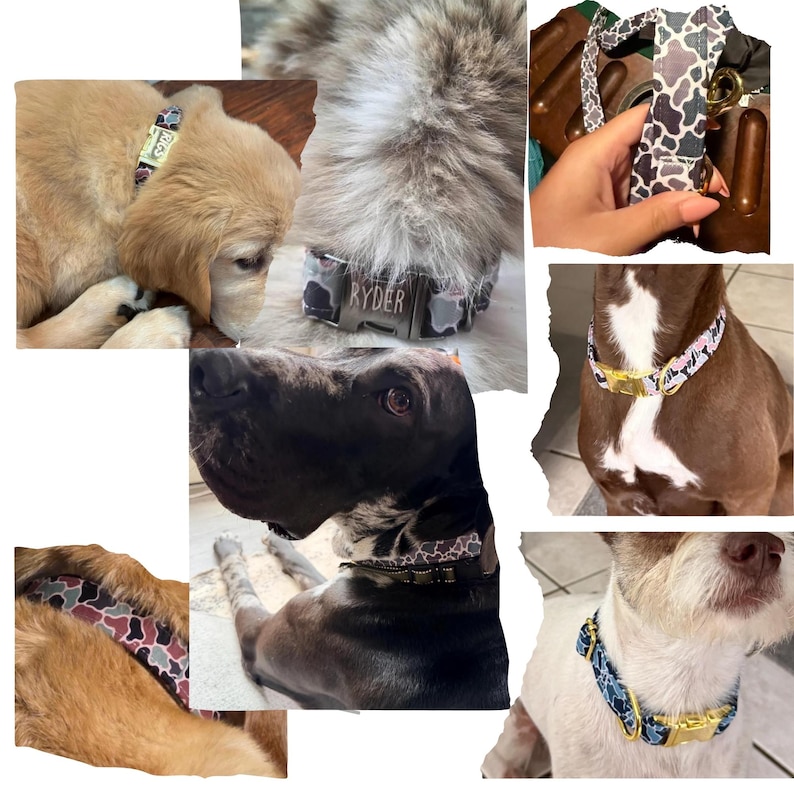 May include: A collection of dog collars featuring various cow print patterns in black, white, pink, and blue. The collars include metal buckles, some engraved with names like Ryder and Rigs, and are shown on different dog breeds to display the fit.