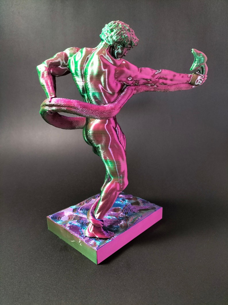Athlete Wrestling a Python 3D Print Etsy Australia