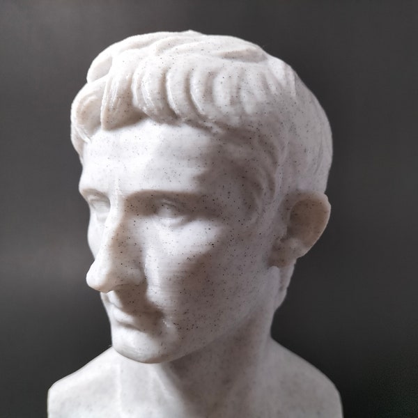 Augustus Bust 3D Print