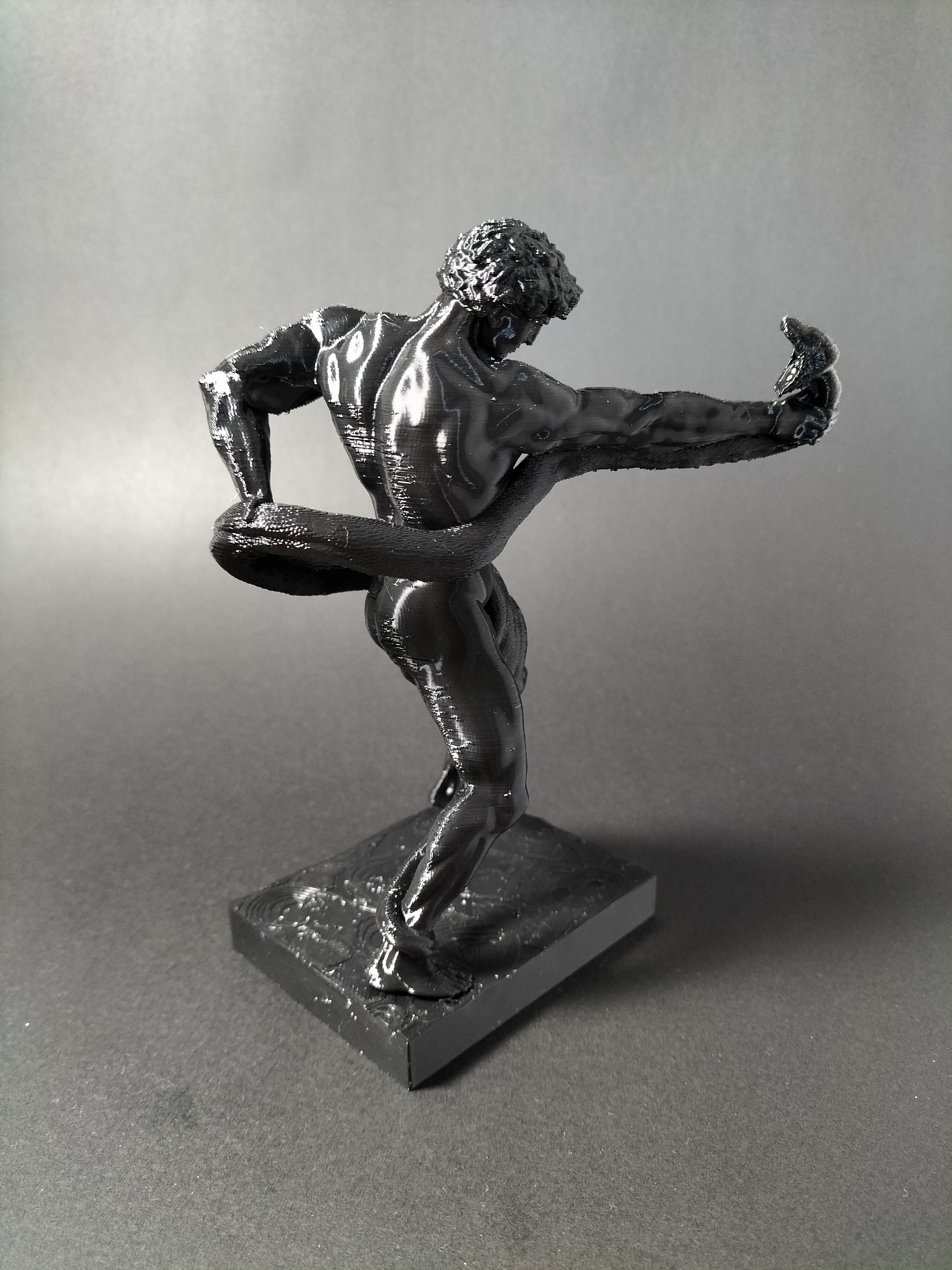 Athlete Wrestling a Python 3D Print - Etsy Australia