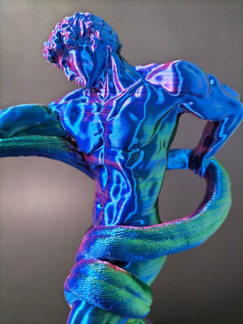 Athlete Wrestling a Python 3D Print Etsy Australia