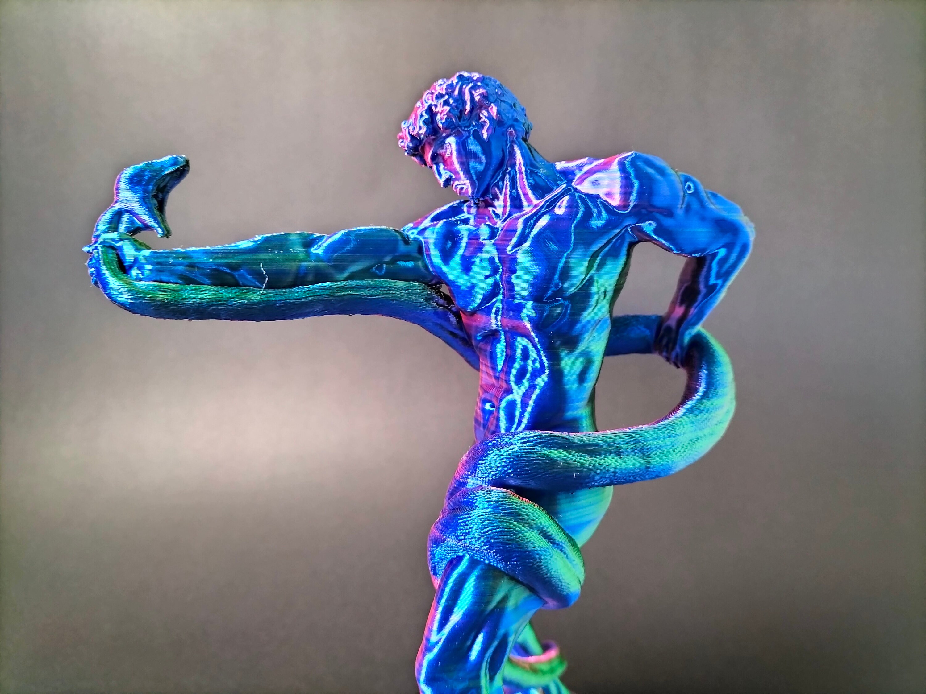 Athlete Wrestling a Python 3D Print - Etsy Australia