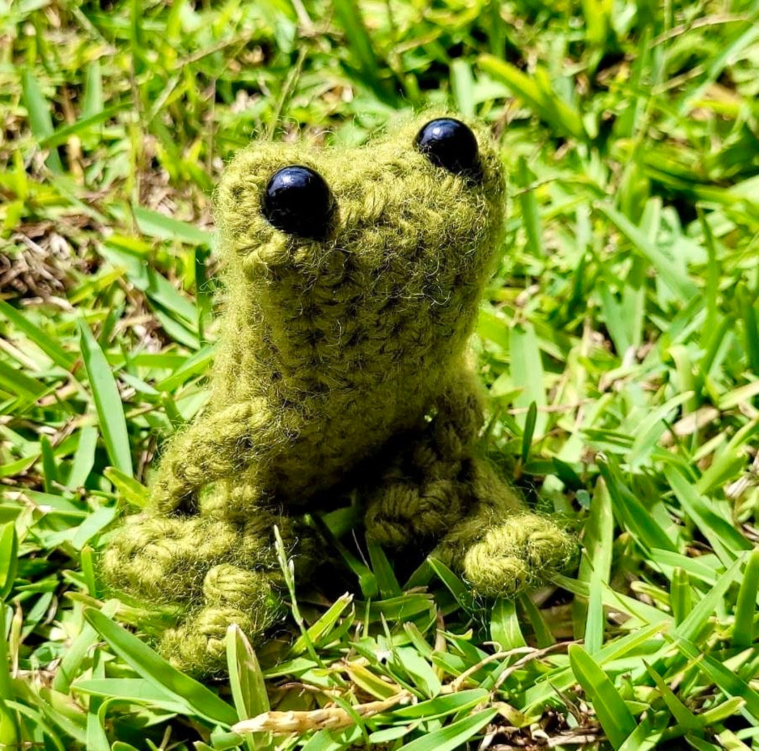 Handmade Amigurumi Lanky Frog Soft Toy Fidget Frog With Attitude Etsy