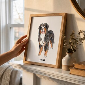 Puede incluir: Una ilustraci&oacute;n enmarcada estilo acuarela de un perro de monta&ntilde;a de Berna con pelaje negro, blanco y fuego. El perro aparece de pie, mirando ligeramente hacia un lado con la lengua fuera. El nombre JUGGS est&aacute; impreso en negro bajo el perro.