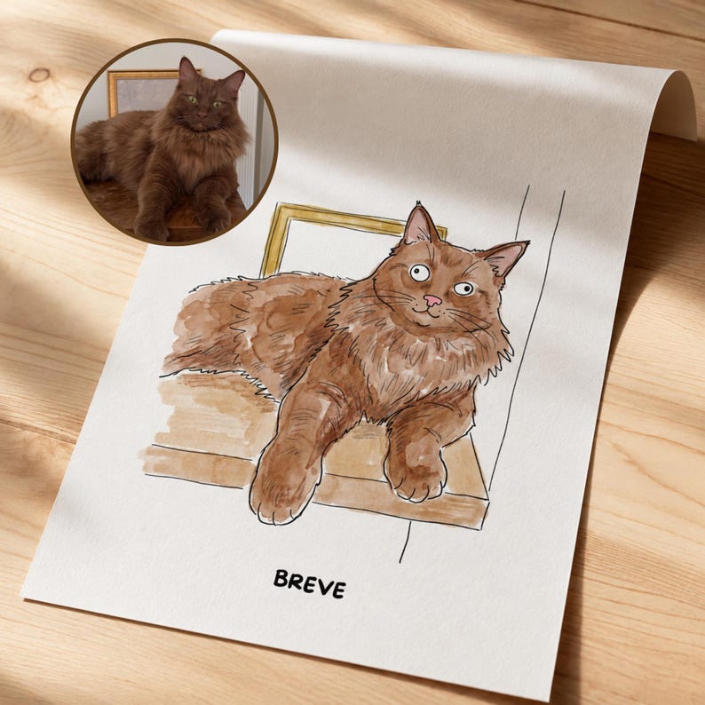 Puede incluir: Una impresi&oacute;n en papel blanco con una ilustraci&oacute;n estilo acuarela de un gato marr&oacute;n de pelo largo tumbado. El gato est&aacute; colocado frente a un marco dorado. El nombre BREVE est&aacute; impreso en letras may&uacute;sculas negras en la parte inferior.