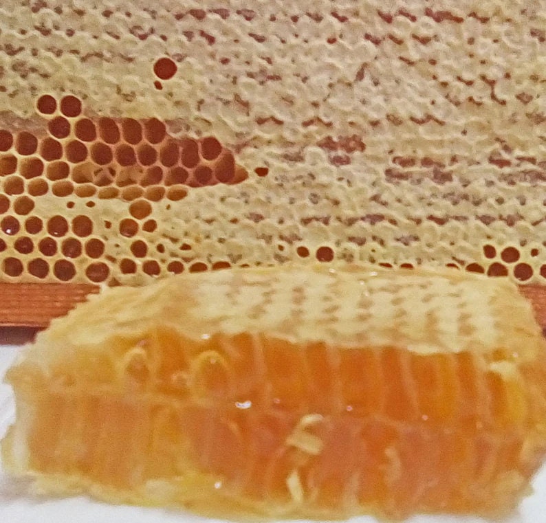 Delicioso panal comestible de flores silvestres, miel natural sin procesar  de colmenas de abejas, panal, miel comestible india para una buena salud. -   México