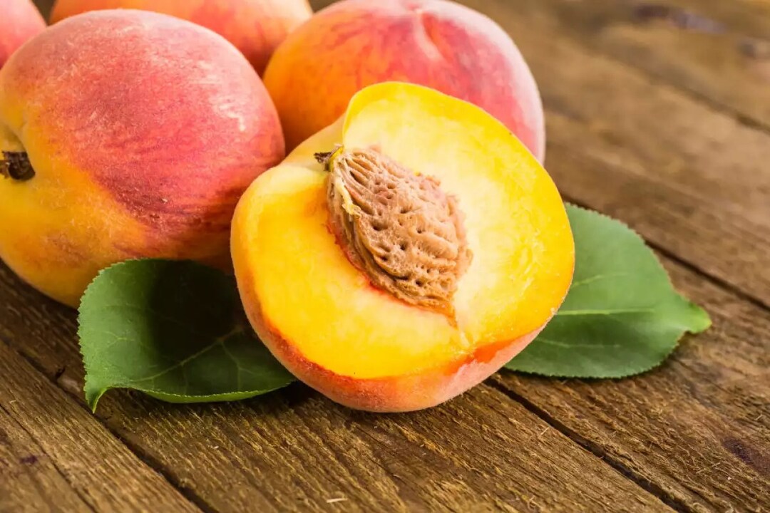 Natural Peach Seeds,nemaguard Peach Seeds (PRUNUS PERSICA NEMAGUARD) - Etsy