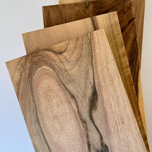 Może przedstawiać: Cztery prostokątne deski drewniane w odcieniach brązu i beżu są rozłożone wachlarzem. Widoczne są wzory słojów drewna, z wirami i liniami tworzącymi unikalne tekstury. Deski ułożone są na białym tle.