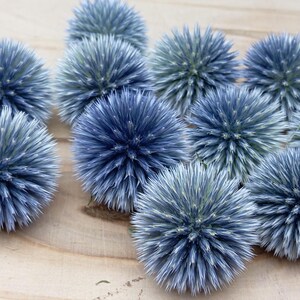 Dried globe thistle heads, 10 pieces, large | blue dried flowers | natural decoration | DIY | floristry | wreath