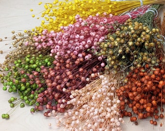 Lino essiccato, palline di lino, bouquet di fiori essiccati, fiori da matrimonio, decorazioni boho, decorazioni per torte, decorazioni per case di campagna, naturali