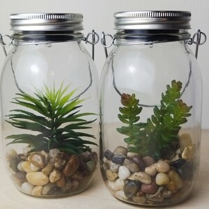 May include: Two clear glass jars with silver lids and metal handles. Each jar contains small rocks and a green artificial plant.