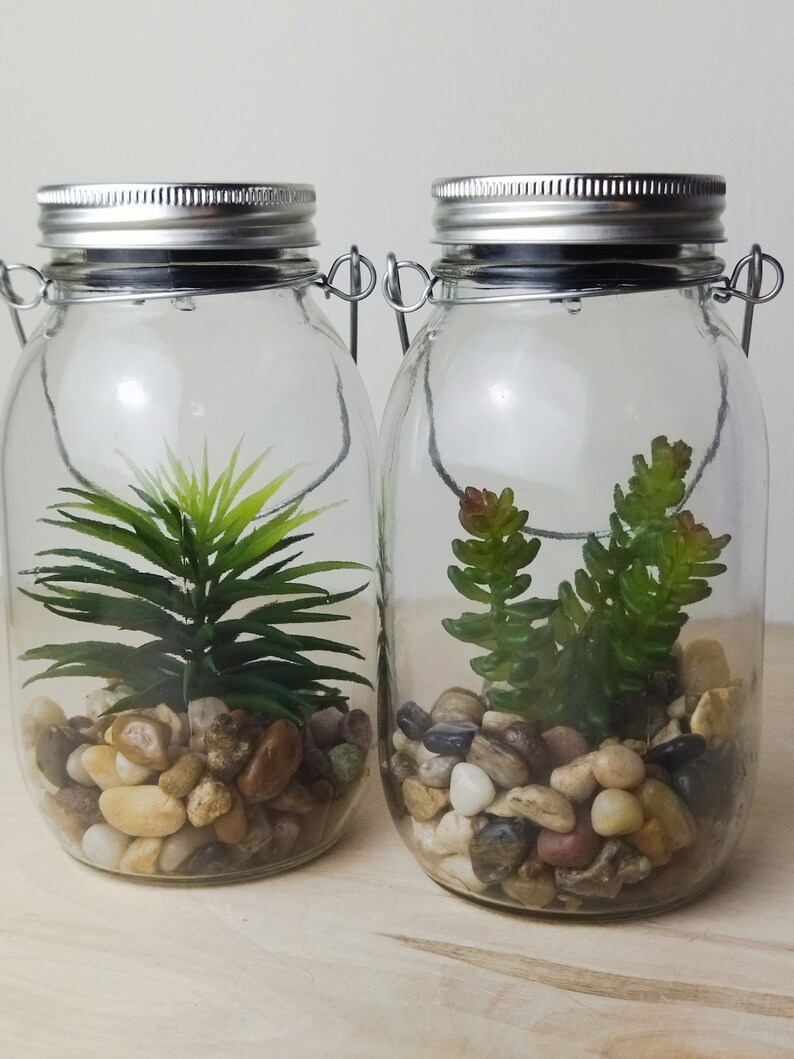 May include: Two clear glass jars with silver lids and metal handles. Each jar contains small rocks and a green artificial plant.