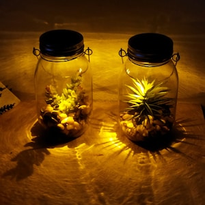 May include: Two glass jars with metal lids and wire handles, filled with small plants and white rocks. The jars are lit from within, casting a warm glow.