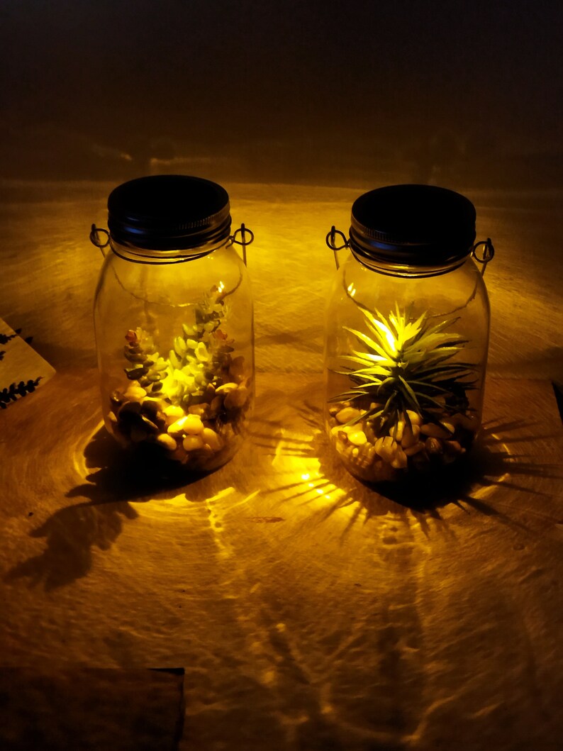 May include: Two glass jars with metal lids and wire handles, filled with small plants and white rocks. The jars are lit from within, casting a warm glow.