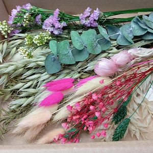 Fleurs séchées MIX vert rose