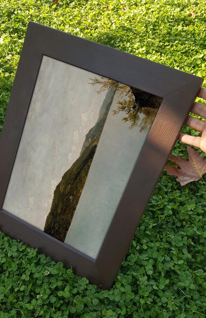 Vintage Prints, Mid Century Print, Framed Vintage Art, Rustic Wall Art