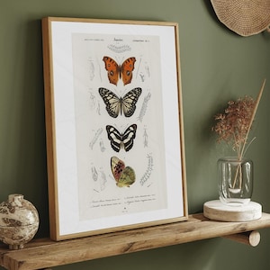 May include: A framed print featuring detailed illustrations of various butterfly species. The artwork showcases butterflies in orange, black, and white, with scientific diagrams. The print is displayed in a wooden frame, adding a touch of natural elegance to the botanical theme.
