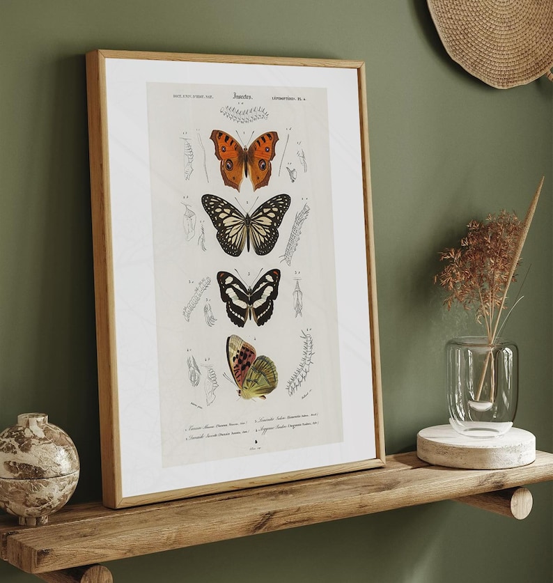 May include: A framed print featuring detailed illustrations of various butterfly species. The artwork showcases butterflies in orange, black, and white, with scientific diagrams. The print is displayed in a wooden frame, adding a touch of natural elegance to the botanical theme.