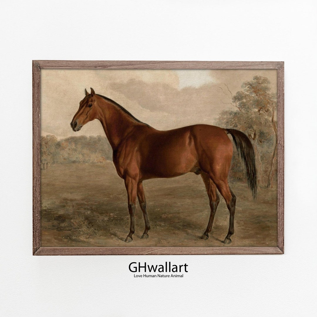 Vintage Horse Print Digital Download for Vintage Gallery Wall Decor and