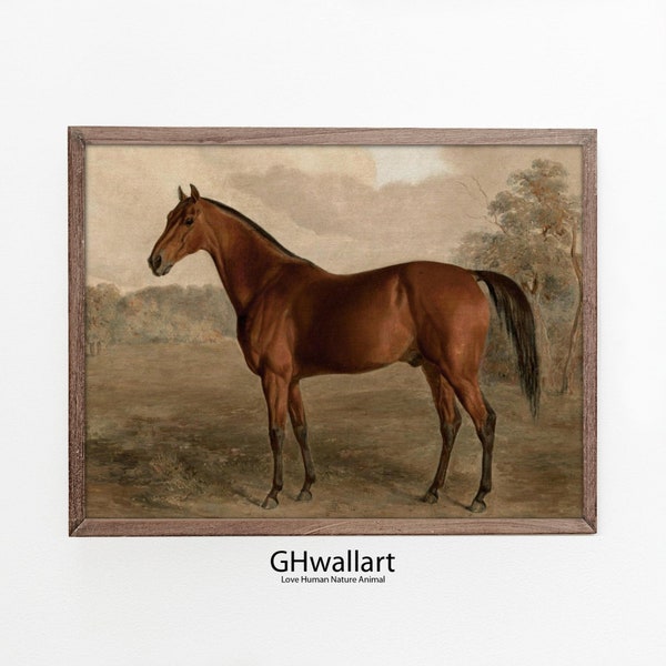 Vintage Horse Print - Digital Download for Vintage Gallery Wall Decor and Equestrian Art Prints