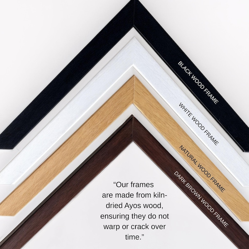 Framed Gallery Wall Art Set: Eclectic Vintage Prints, Solid Wood Frames image 8
