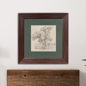 Rysunek drzewa w stylu vintage: botaniczna sztuka liniowa, wydruk w złotej ramie