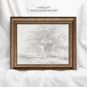 Vintage Tree Sketch: Framed Landscape Art Print, Gold Ornate Frame