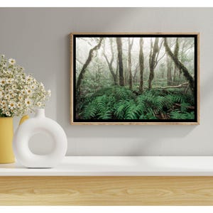 FRAMED Set of 6 Boho Forest Gallery Wall Set, Nature Print Set of 6 ...