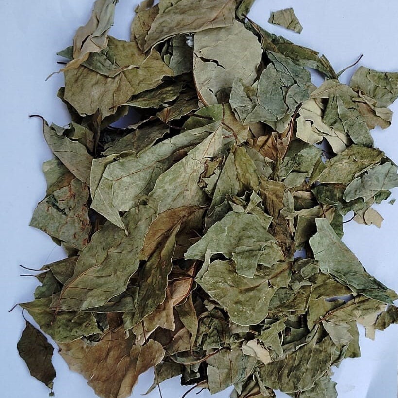 ARK PURE HERB Barna Varuna-crataeva Nurvala Leaf Powder Indian Hand ...