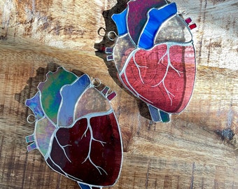 anatomical heart of glass