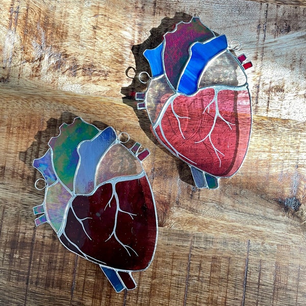 anatomisches Herz aus Glas