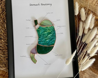 Vitral com a anatomia do estômago – Arte de parede com temática médica – Presente para médico ou gastroenterologista