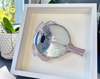 Arte em vitral com o olho anatômico, decoração de parede inspirada na ciência, presente para oftalmologistas.