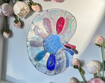 Arte em vitral anatômico do rim – Presente para nefrologistas – Decoração de parede com temática médica – Obra de arte anatômica em vidro dicróico