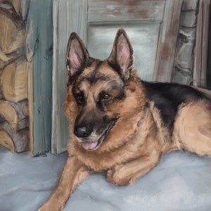 Digital Pet Portraits from Photo / Pet Illustrations / Animal Illustrations