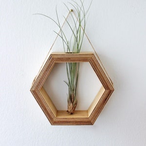 Puede incluir: Un macetero hexagonal de madera con un acabado de madera natural cuelga de una cuerda. Una pequeña planta de aire está creciendo dentro del macetero.