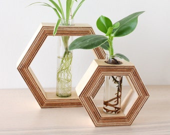 hexagon shaped planter made out of wood with glass tube - for flowers or as propagation station for plants - wall decor - flower vase