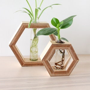 hexagon shaped planter made out of wood with glass tube - for flowers or as propagation station for plants - wall decor - flower vase