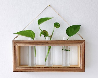 Rectangular wooden vase with test tubes for flowers - propagation station for offshoots and plants - propagation station