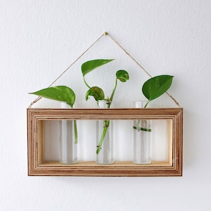 Rectangular wooden vase with test tubes for flowers - propagation station for offshoots and plants - propagation station