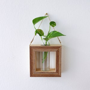 square shaped planter for wall made out of wood with glass tube for flowers / propagation station for plants wall decor flower vase image 1