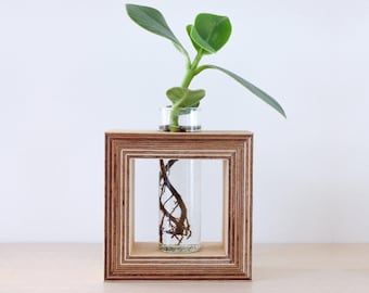 Square wooden planter with test tube for flowers - Propagation station for offshoot plants - Propagation station - Flower vase