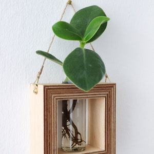 square shaped planter for wall made out of wood with glass tube for flowers / propagation station for plants wall decor flower vase image 6