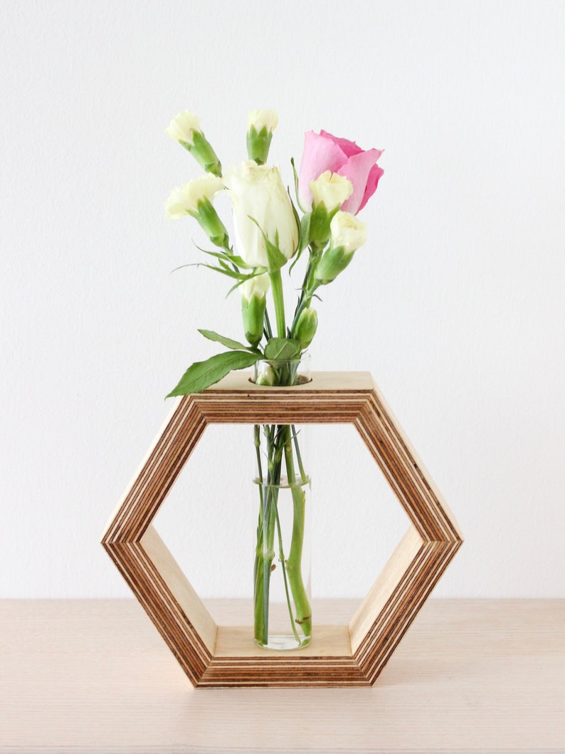 Fentar Pflanzen Glas Set Mit Holzständer - 3 Vermehrungsstationen Für Hydrokultur & Tischdeko