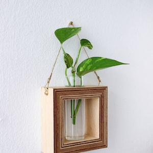 square shaped planter for wall made out of wood with glass tube for flowers / propagation station for plants wall decor flower vase image 3