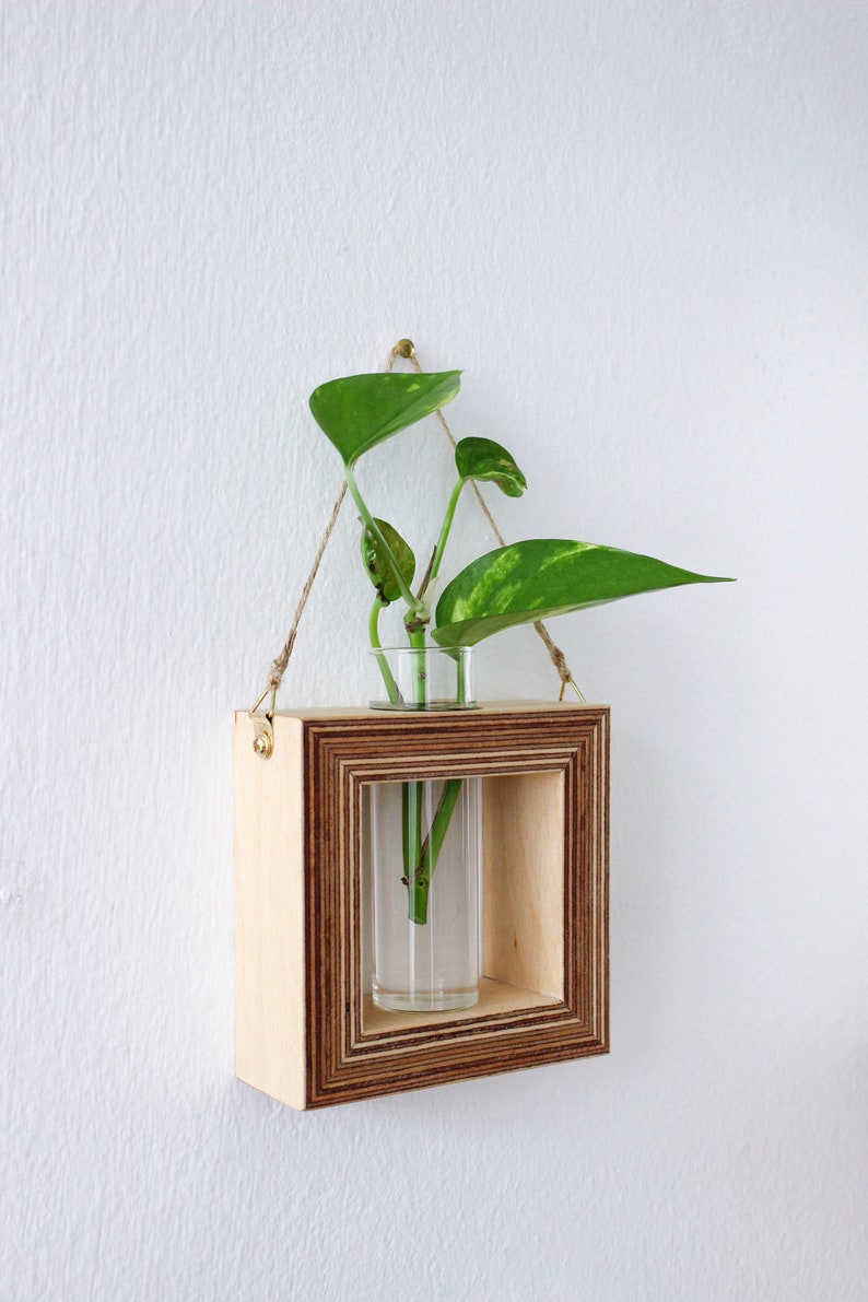 square shaped planter for wall made out of wood with glass tube for flowers / propagation station for plants wall decor flower vase image 3